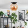 Ripoll Plafoniera, Lampada a sfera Ambrato, 1-Luce