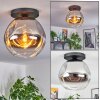 Ripoll Plafoniera, Lampada a sfera Cromo, Chiaro, Grigio fumo, 1-Luce