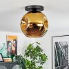 Ripoll Plafoniera, Lampada a sfera Oro, 1-Luce