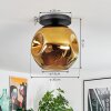 Ripoll Plafoniera, Lampada a sfera Oro, 1-Luce