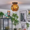 Ripoll Plafoniera, Lampada a sfera Oro, 1-Luce