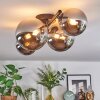 Chehalis Plafoniera, Lampada a sfera Cromo, Grigio fumo, 4-Luci