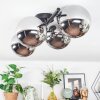 Chehalis Plafoniera, Lampada a sfera Cromo, Grigio fumo, 4-Luci
