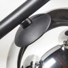 Chehalis Plafoniera, Lampada a sfera Cromo, Grigio fumo, 4-Luci