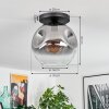 Ripoll Plafoniera, Lampada a sfera Chiaro, Grigio fumo, 1-Luce