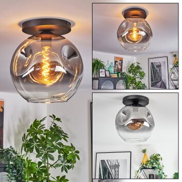 Ripoll Plafoniera, Lampada a sfera Chiaro, Grigio fumo, 1-Luce