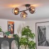 Koyoto Plafoniera, Lampada a sfera Chiaro, Grigio fumo, 3-Luci