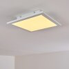 Nexo Plafoniera LED Bianco, 1-Luce, Telecomando