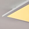 Nexo Plafoniera LED Bianco, 1-Luce, Telecomando
