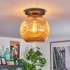 Ripoll Plafoniera, Lampada a sfera Ambrato, 1-Luce