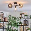 Gastor Plafoniera, Lampada a sfera Ambrato, Chiaro, Grigio fumo, 3-Luci