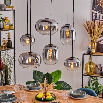 Apedo Lampadario a sospensione, Lampada a sospensione Chiaro, Grigio fumo, 6-Luci