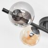 Chehalis Plafoniera, Lampada a sfera Ambrato, Grigio fumo, 4-Luci