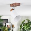 Fallhagen Plafoniera, Faretto da soffitto Cromo, Legno scuro, 1-Luce