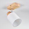 Fallhagen Plafoniera, Faretto da soffitto Cromo, Legno chiaro, 1-Luce