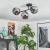 Ripoll Plafoniera, Lampada a sfera Grigio fumo, 3-Luci