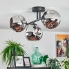 Ripoll Plafoniera, Lampada a sfera Cromo, Grigio fumo, 3-Luci