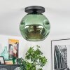 Ripoll Plafoniera, Lampada a sfera Verde, 1-Luce