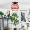Ripoll Plafoniera, Lampada a sfera Chiaro, Ramato, 1-Luce