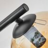 Ripoll Plafoniera, Lampada a sfera Ambrato, Chiaro, Grigio fumo, 3-Luci