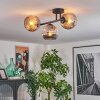 Ripoll Plafoniera, Lampada a sfera Ambrato, Grigio fumo, 3-Luci