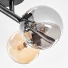 Chehalis Plafoniera, Lampada a sfera Ambrato, Grigio fumo, 4-Luci