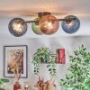 Chehalis Plafoniera, Lampada a sfera Blu, Verde, Chiaro, Ramato, 4-Luci