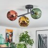 Ripoll Plafoniera, Lampada a sfera Oro, Verde, Ramato, 3-Luci