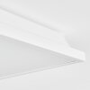 Raimea Plafoniera, Panel LED Bianco, 1-Luce