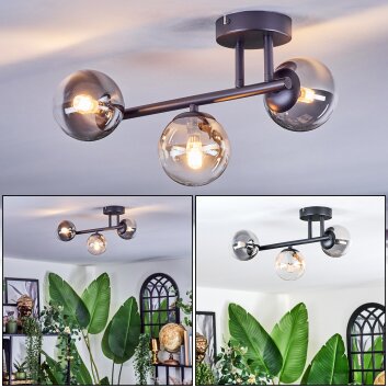 Chehalis Plafoniera, Lampada a sfera Ambrato, Chiaro, Grigio fumo, 3-Luci