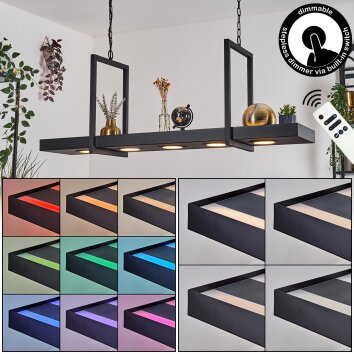 Genor Lampadario a sospensione, Lampada a sospensione LED Nero, Bianco, 1-Luce, Telecomando