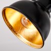 Toren Plafoniera, Faretto da soffitto Cromo, Nero, 3-Luci