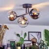 Chehalis Plafoniera, Lampada a sfera Cromo, Chiaro, Grigio fumo, 3-Luci