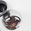 Chehalis Plafoniera, Lampada a sfera Cromo, Grigio fumo, 3-Luci
