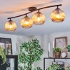 Koyoto Plafoniera, Lampada a sfera Ambrato, 4-Luci