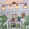 Koyoto Plafoniera, Lampada a sfera Ambrato, Chiaro, Grigio fumo, 4-Luci