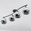 Koyoto Plafoniera, Lampada a sfera Cromo, Grigio fumo, 4-Luci