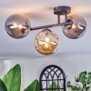 Chehalis Plafoniera, Lampada a sfera Ambrato, Grigio fumo, 3-Luci