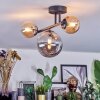 Chehalis Plafoniera, Lampada a sfera Ambrato, Grigio fumo, 3-Luci