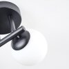 Chehalis Plafoniera, Lampada a sfera Bianco, 3-Luci
