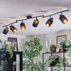 Fallhagen Plafoniera, Faretto da soffitto Nero, 6-Luci