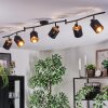 Fallhagen Plafoniera, Faretto da soffitto Nero, 6-Luci
