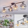Koyoto Plafoniera, Lampada a sfera Ambrato, Chiaro, Grigio fumo, 4-Luci