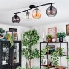 Koyoto Plafoniera, Lampada a sfera Ambrato, Chiaro, Grigio fumo, 4-Luci