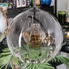 Koyoto Lampadario a sospensione, Lampada a sfera, Lampada a sospensione Ambrato, Chiaro, Grigio fumo, 4-Luci