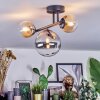 Chehalis Plafoniera, Lampada a sfera Ambrato, Chiaro, Grigio fumo, 3-Luci