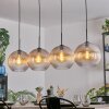 Koyoto Lampadario a sospensione, Lampada a sfera, Lampada a sospensione Ambrato, Chiaro, 4-Luci