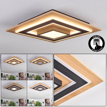 Falmir Plafoniera LED Aspetto del legno, Nero, 1-Luce