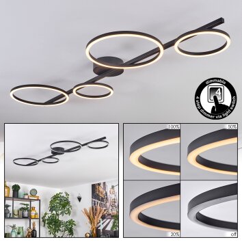 Firon Plafoniera LED Nero, 1-Luce