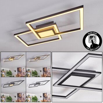 Torresella Plafoniera LED Nero, 1-Luce